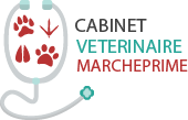 Cabinet vétérinaire Marcheprime